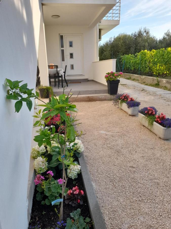 Apartmani Sara Bibinje Exteriör bild