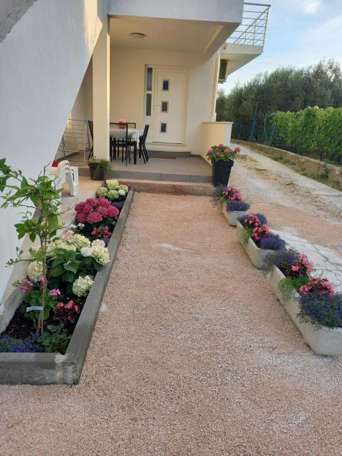Apartmani Sara Bibinje Exteriör bild