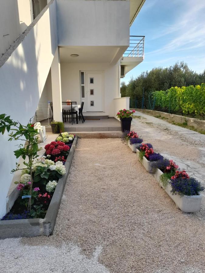 Apartmani Sara Bibinje Exteriör bild